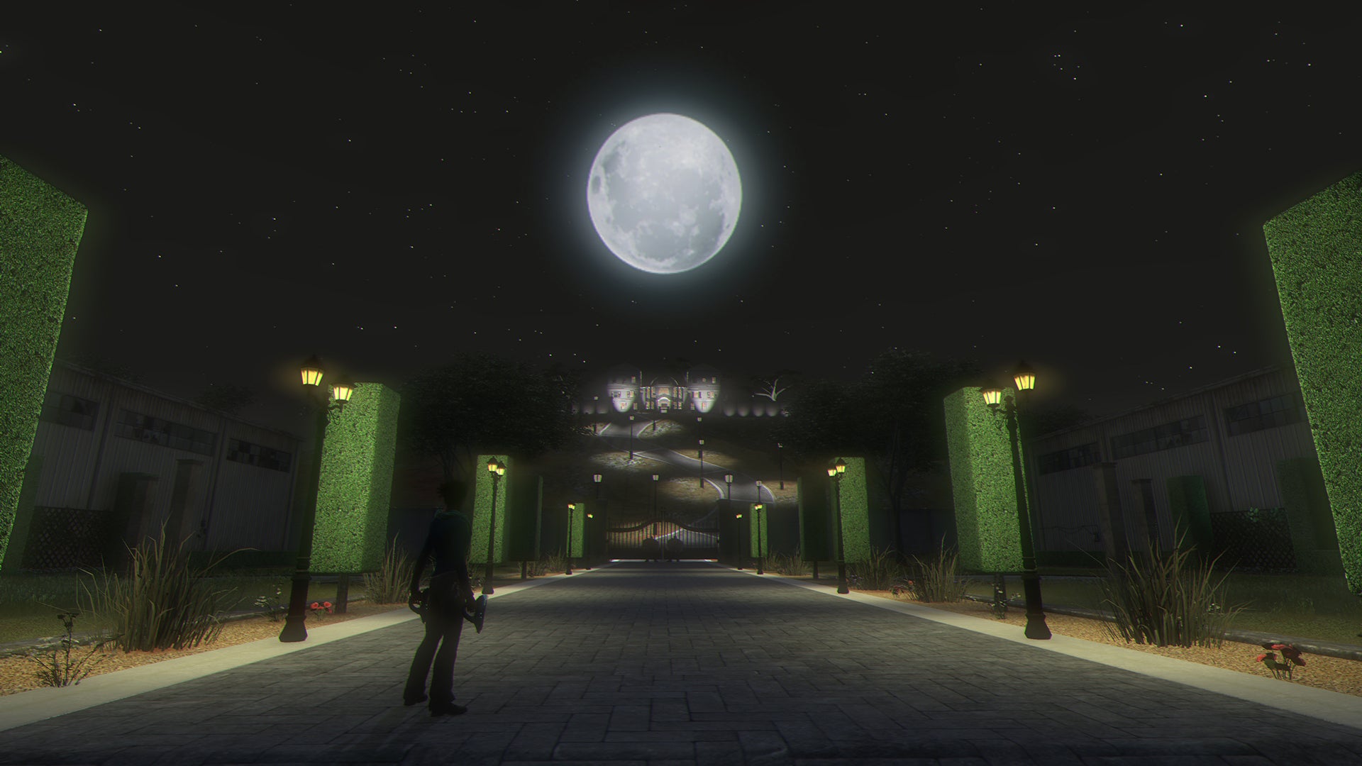 Secret World Legends: Dawn of the Morninglight Collector’s Edition (PC) - Steam Key - GLOBAL