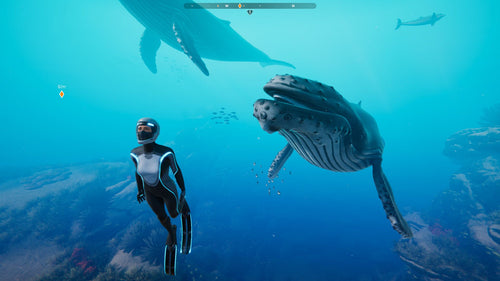 Beyond Blue (PC) - Steam Key - GLOBAL